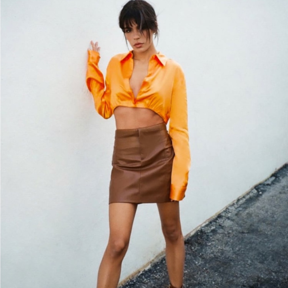 Zara Brown Leather Skirt